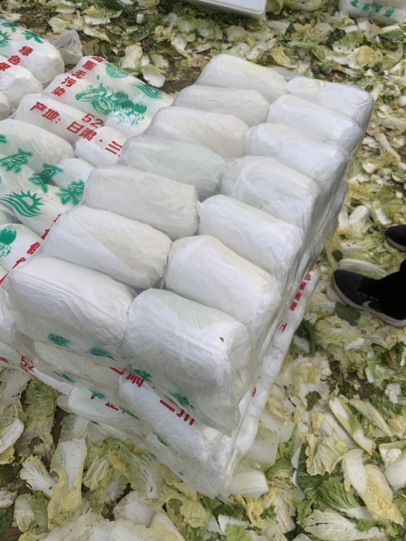 山东精品娃娃菜长期大量有货长期供应各大超市电商需要的联系