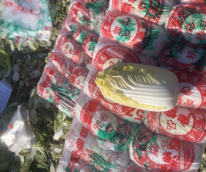 山东精品娃娃菜长期有货，大量供应各大超市电商需要联系
