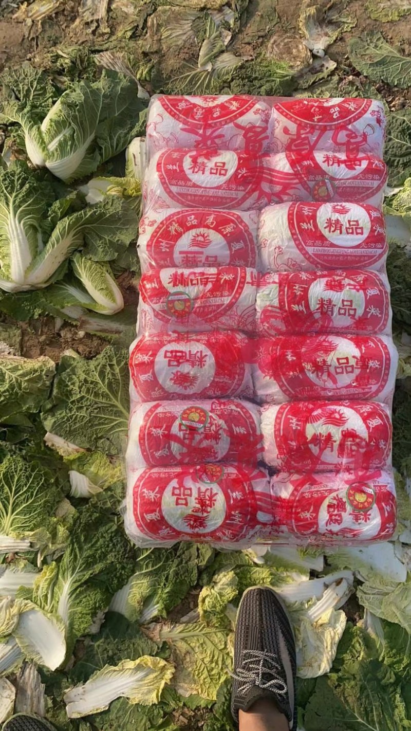 山东精品娃娃菜长期有货，大量供应各大超市电商需要联系