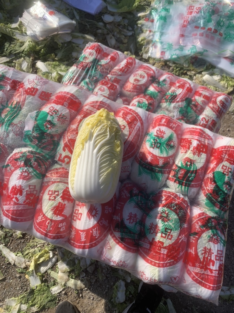 山东精品娃娃菜长期有货，大量供应各大超市电商需要联系