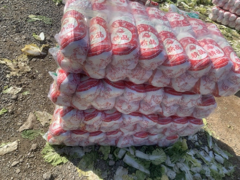 山东精品娃娃菜长期有货，大量供应各大超市电商需要联系