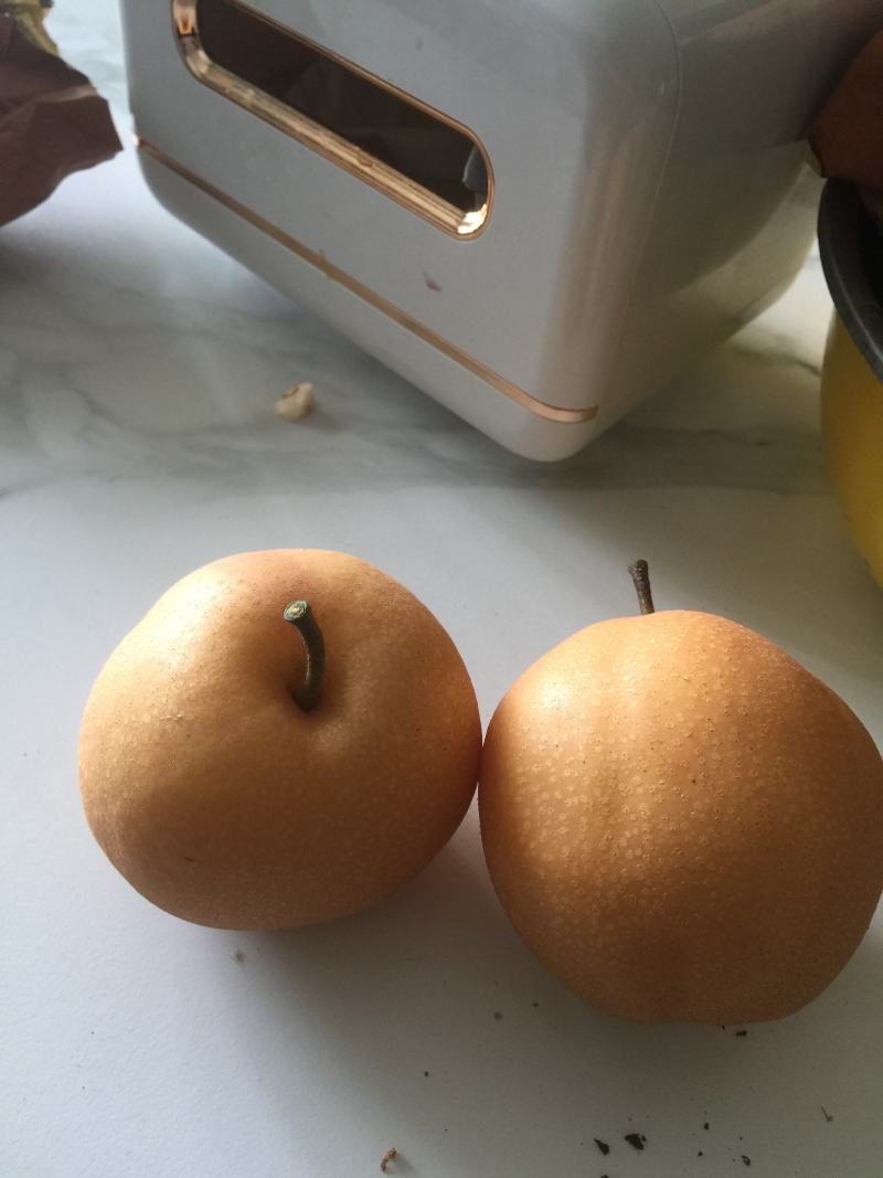 丰水梨