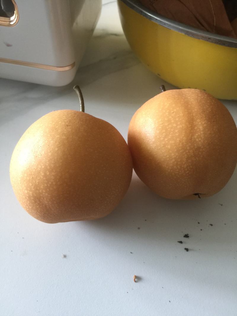 丰水梨