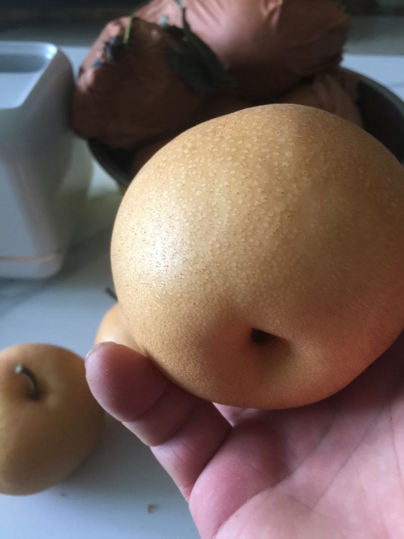 丰水梨