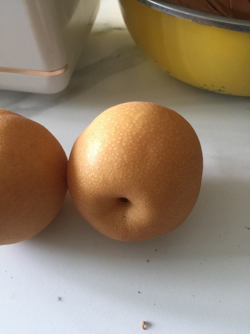 丰水梨