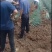 忻州铁杆大葱大量上市钢葱大量供应，代发全国各地