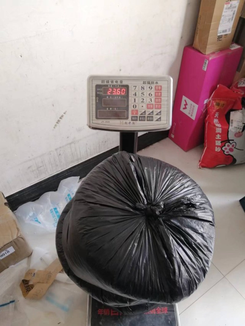 贵州九香虫