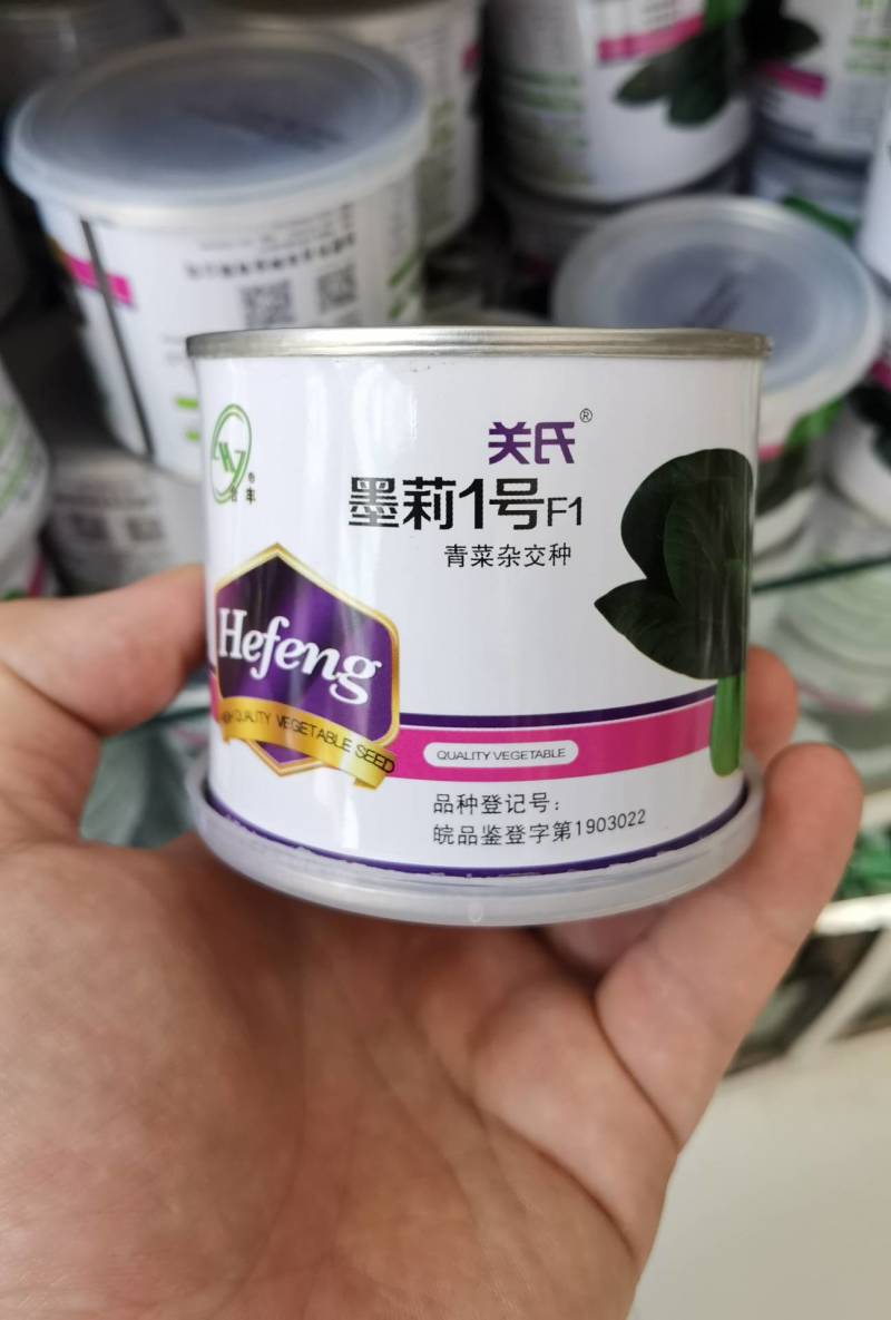 墨莉1号杂交苏州青种子黑叶青菜种子矮脚肥厚耐热高产