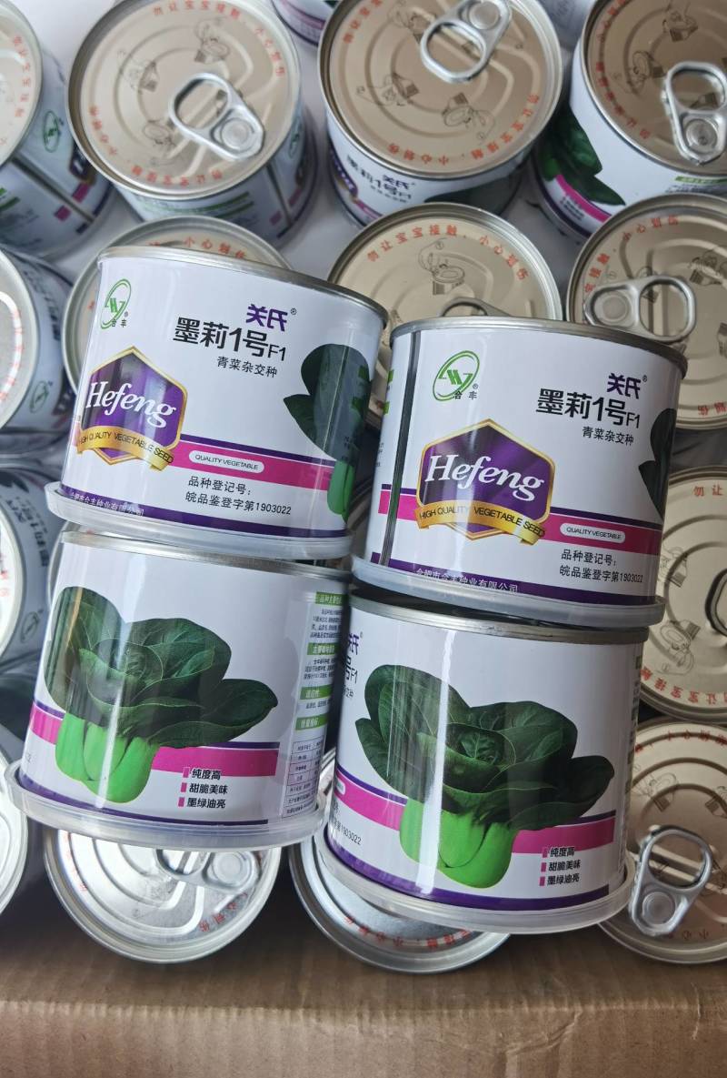 墨莉1号杂交苏州青种子黑叶青菜种子矮脚肥厚耐热高产