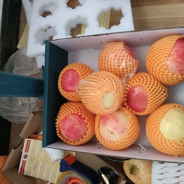 小麻供应