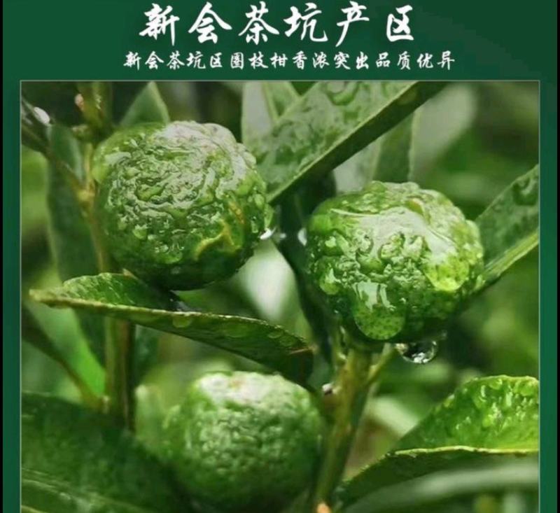 厂家天马，茶坑核心产区小青柑上市传统工艺配上云南宫廷普洱