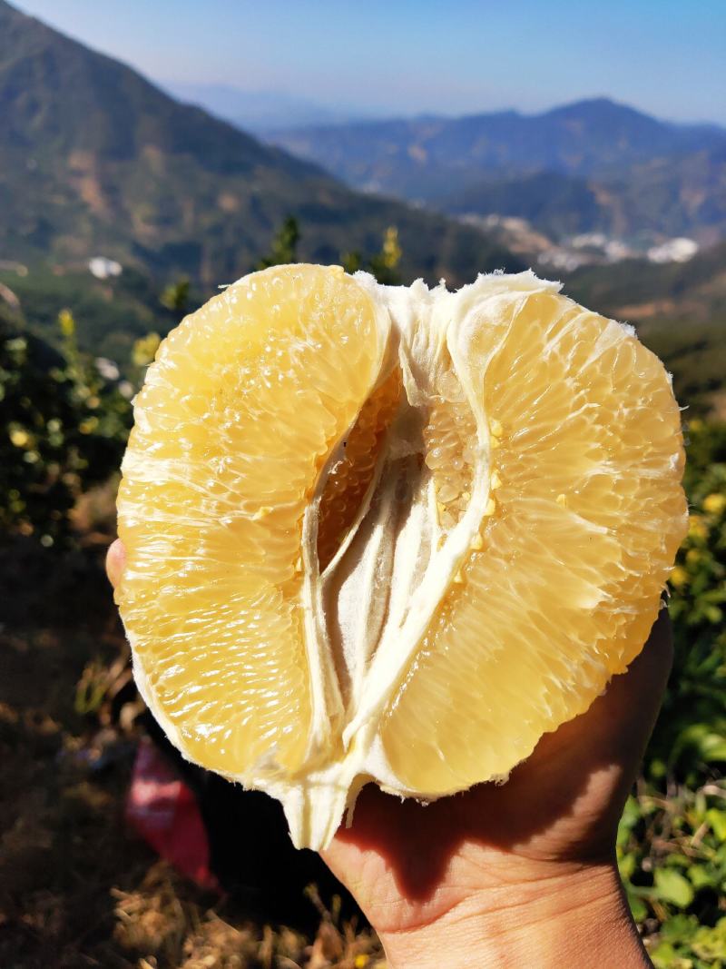 柚子红心白心平和琯溪蜜柚本地货产地直发品质保证