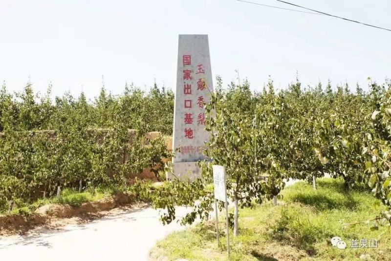 玉露香