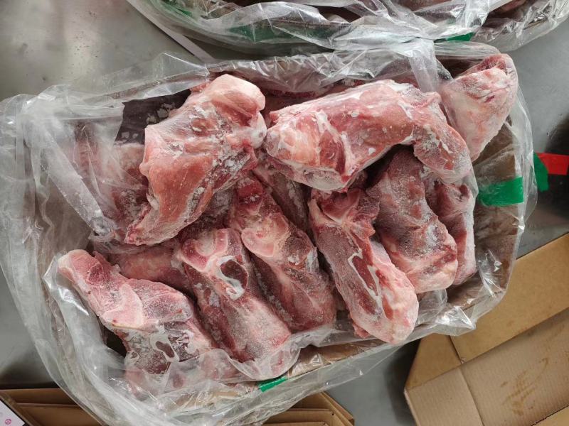二次分割前棒骨