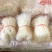 碗豆粉丝。一件20斤50把。一年四季都可以发货