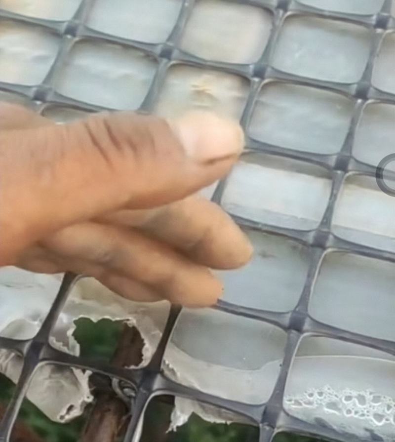 大棚防积水网，花钱最少的方法，使用起来快速简单