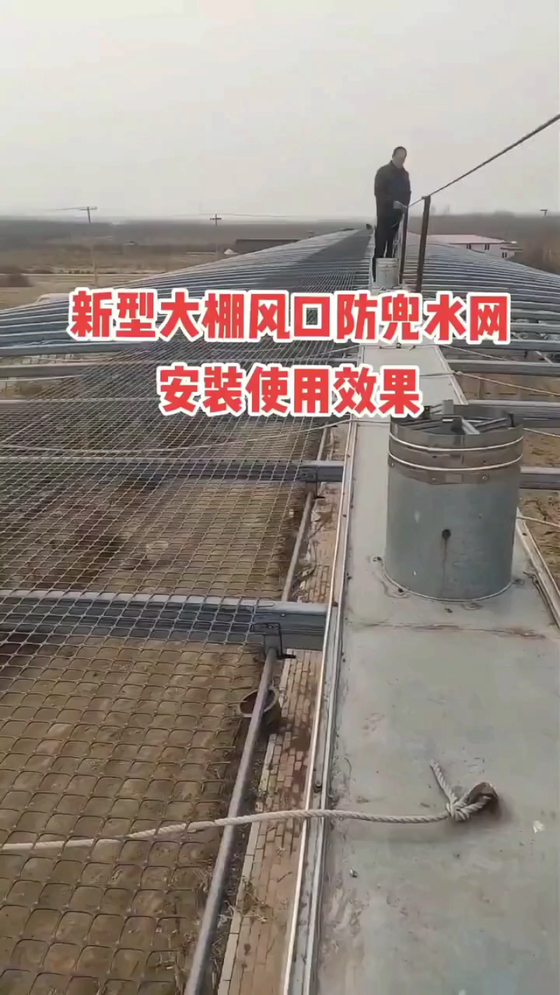 大棚防积水网，花钱最少的方法，使用起来快速简单