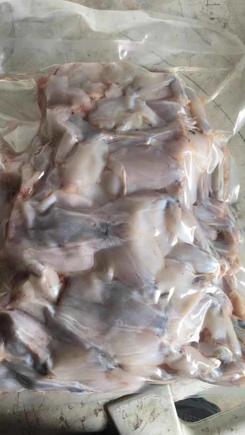 活杀整只牛蛙冰鲜牛蛙厂家直发价格实惠欢迎联系