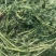 苜蓿草行情产地种植数量很多蛋白高水分低