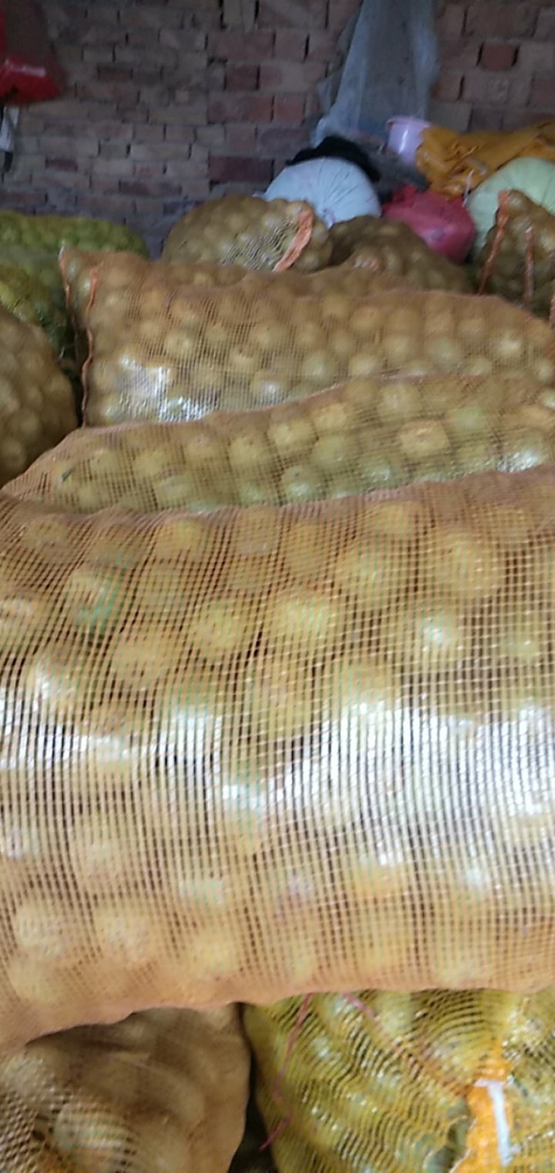青皮核桃