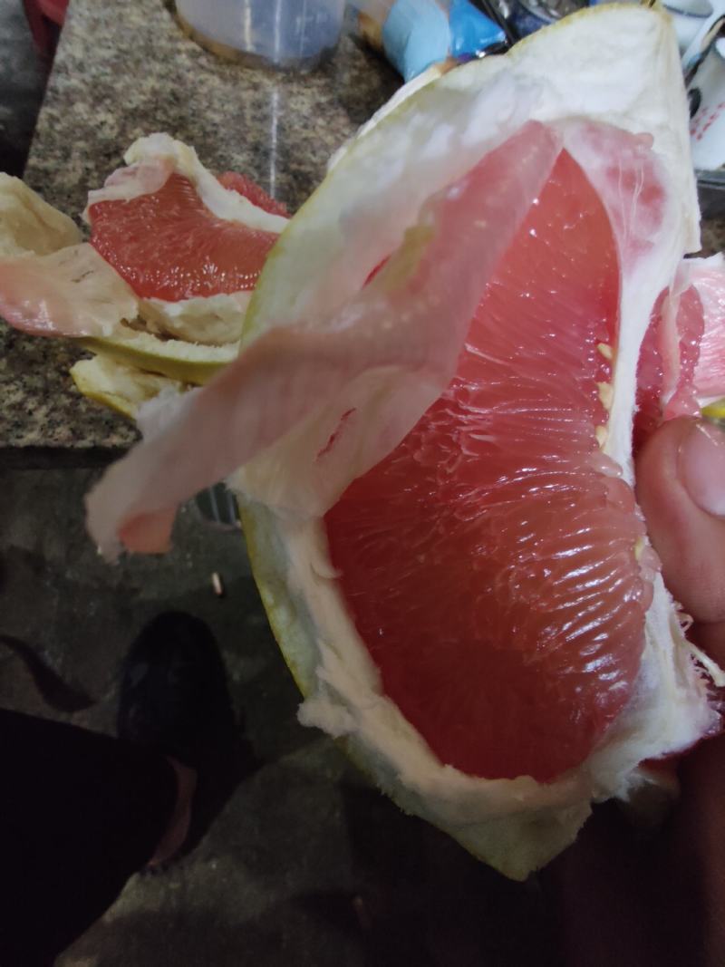 三红柚红柚白柚福建琯溪产地直发欢迎考察大量批发