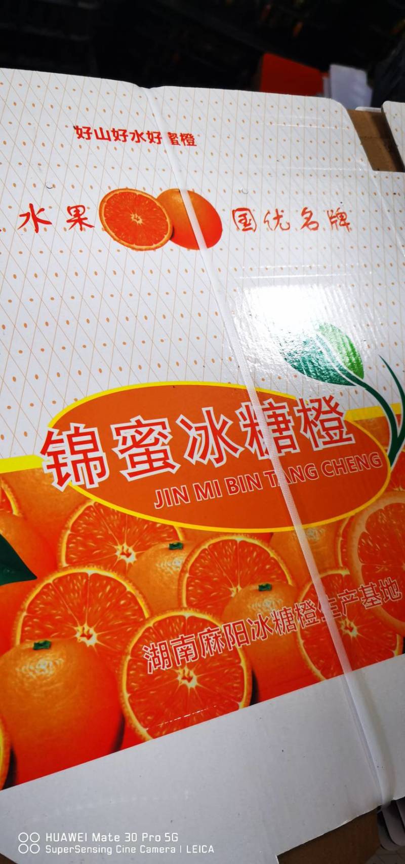 锦蜜冰糖橙