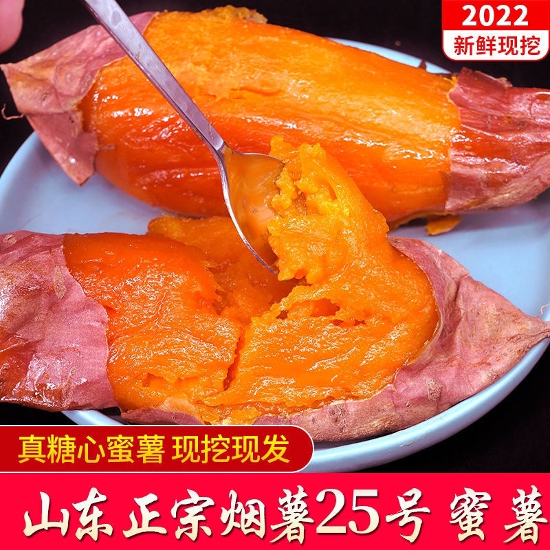 正宗烟薯25产地直发，软糯香甜，大量接一件代发，电联下单