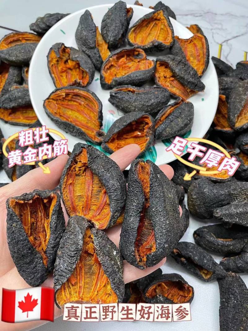 【海参】北极红海参深海参皮淡干海参干货漂亮足干一件代发