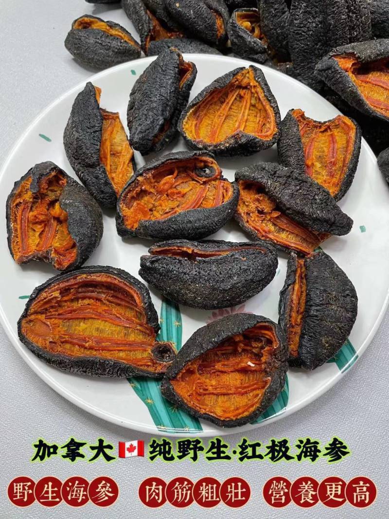 【海参】北极红海参深海参皮淡干海参干货漂亮足干一件代发