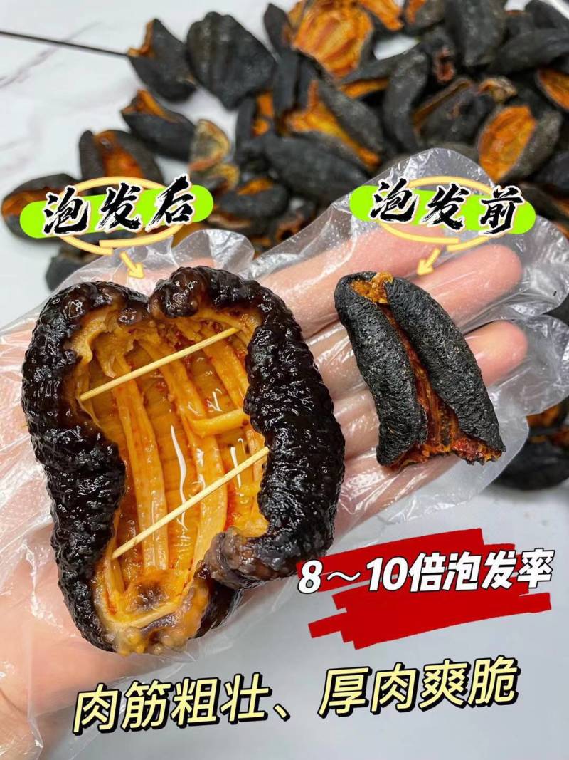 【海参】北极红海参深海参皮淡干海参干货漂亮足干一件代发
