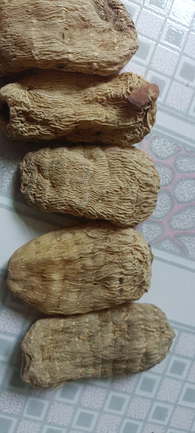 【推荐】天麻，野生天麻，干货，自然晒干，秦岭山野生。