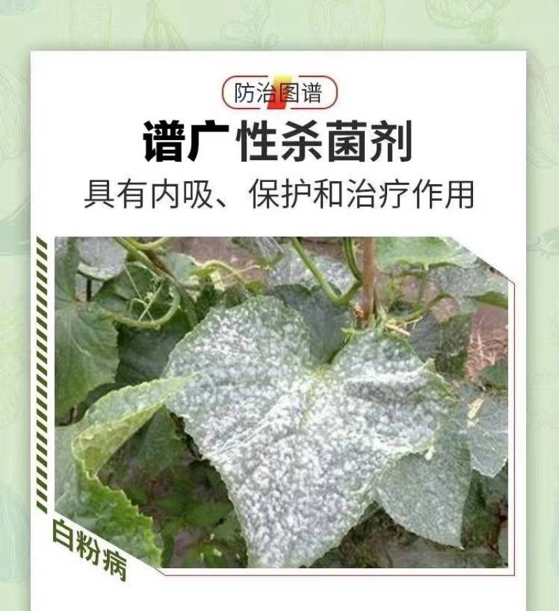 40%苯甲吡唑酯苯醚甲环唑葡白粉病炭疽叶斑果树农药杀菌剂