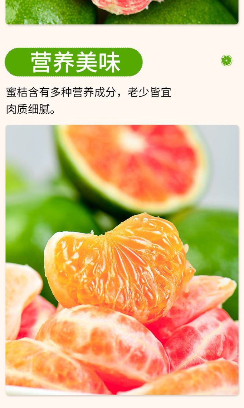 四川高山特早蜜橘早熟蜜橘产地直销早熟橘子皮薄无籽蜜橘批发