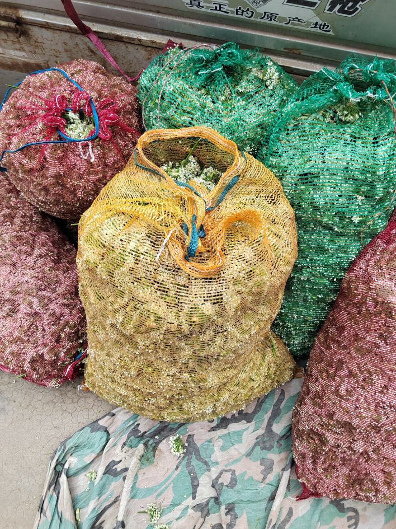 韭菜花，雪白，本地直发诚信经营欢迎来电咨询