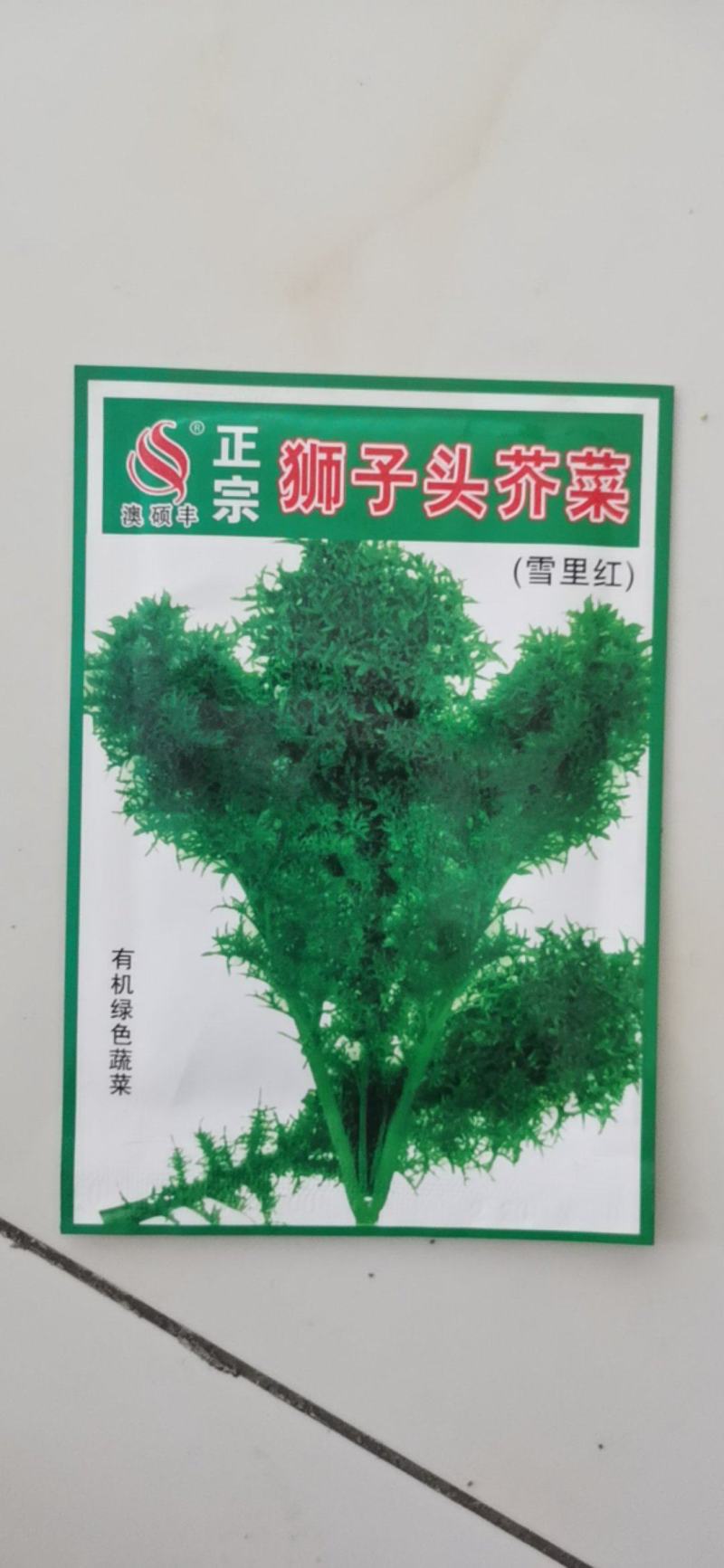 雪里蕻种子狮子头芥菜雪里红腌菜种籽花叶雪菜细叶九头鸟