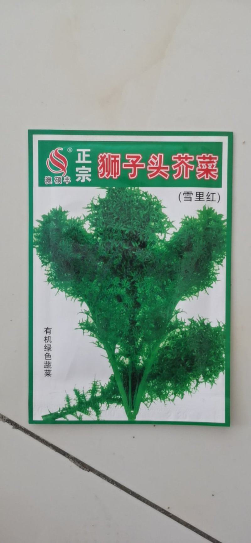 雪里蕻种子狮子头芥菜雪里红腌菜种籽花叶雪菜细叶九头鸟