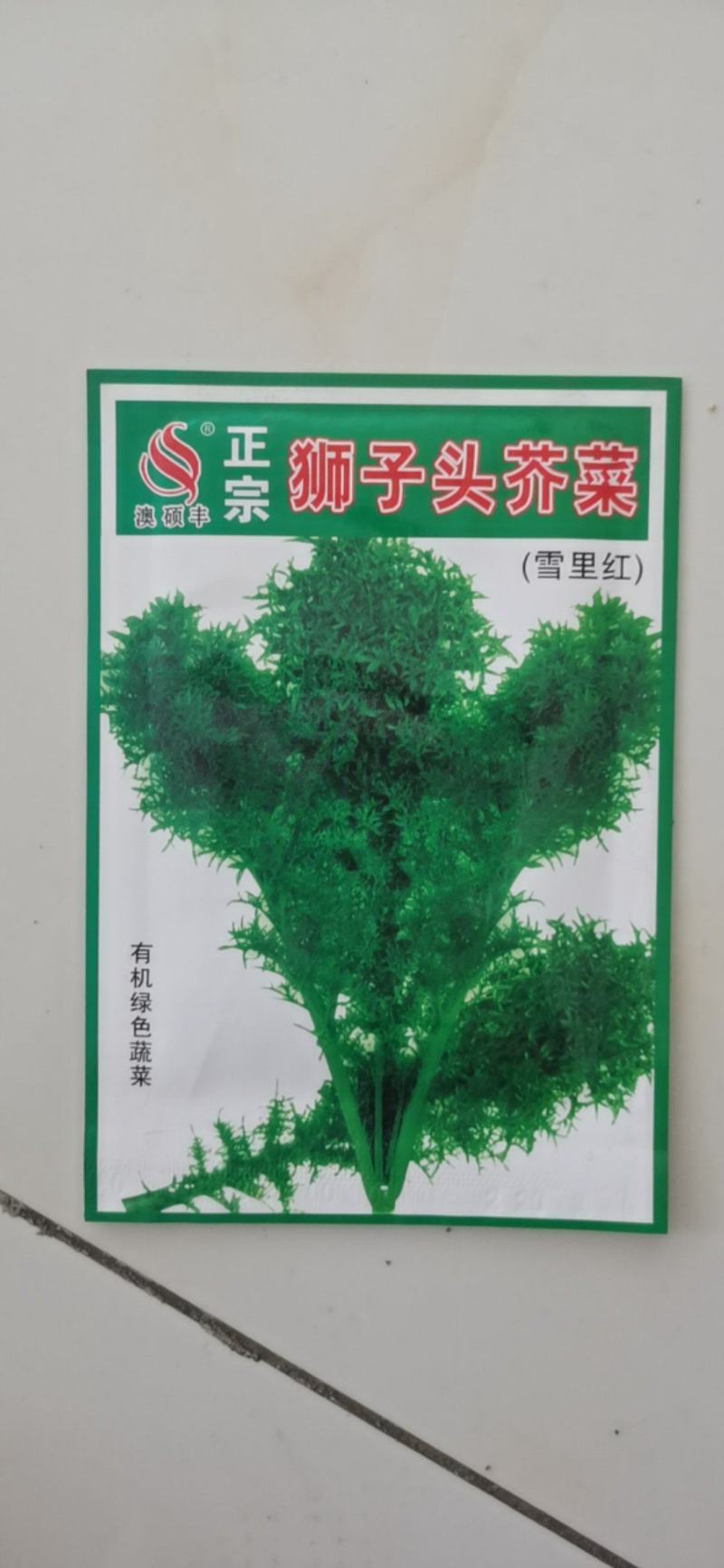 雪里蕻种子狮子头芥菜雪里红腌菜种籽花叶雪菜细叶九头鸟