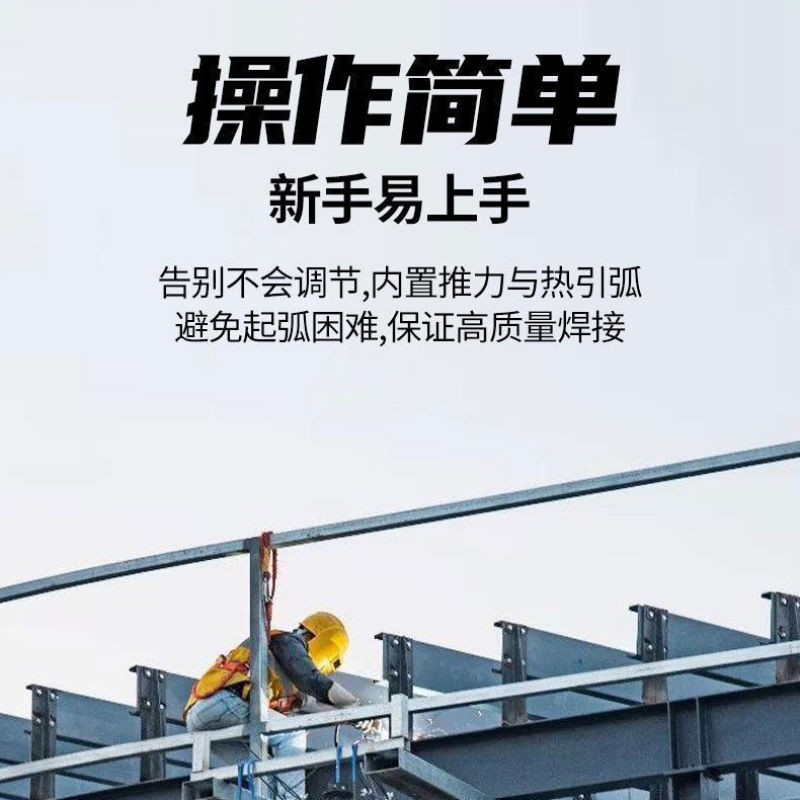 瑞凌电焊机小型家用220v两用工业380v双电压便携大功