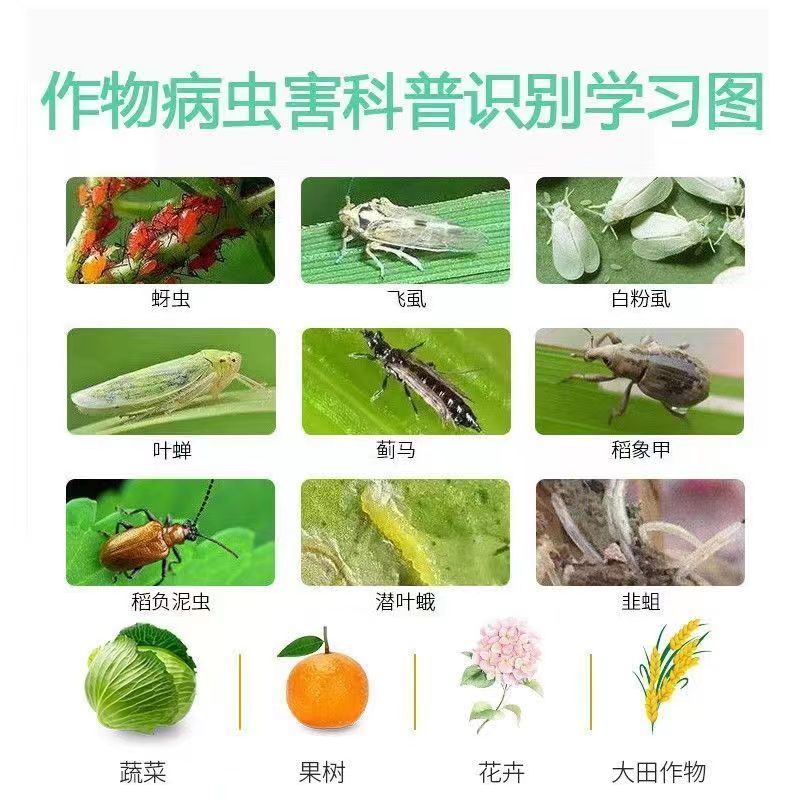抗性蚜虫杀虫剂15%氟啶虫酰胺联苯菊酯悬浮剂杀虫杀卵蚜虫