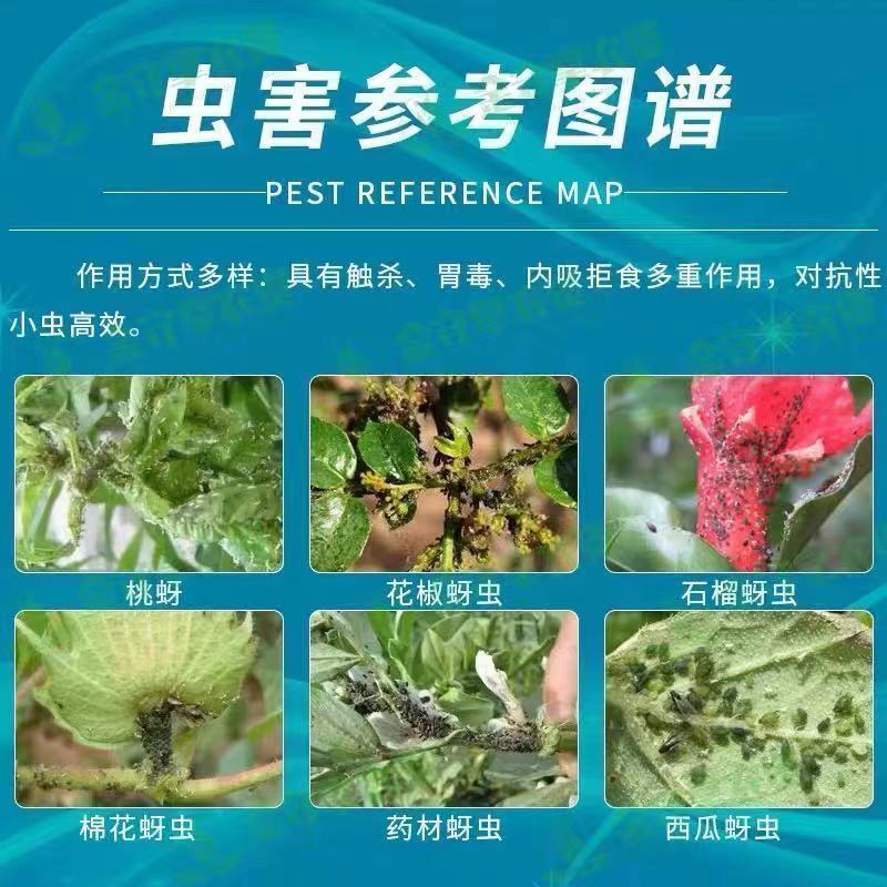抗性蚜虫杀虫剂15%氟啶虫酰胺联苯菊酯悬浮剂杀虫杀卵蚜虫