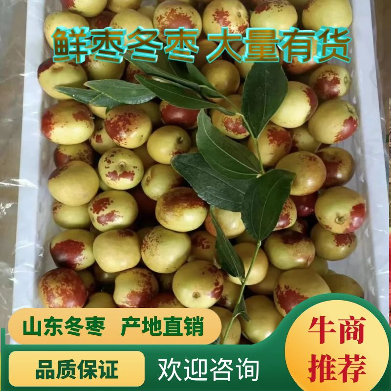 【热销】冬枣，全国代办，实力供货。支持视频看货