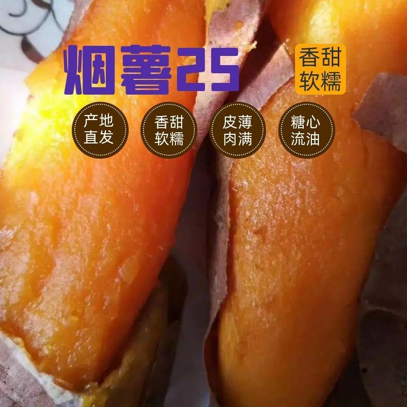 烟薯-河北烟薯-烟薯25-河北烟薯25-河北红薯河北蜜薯
