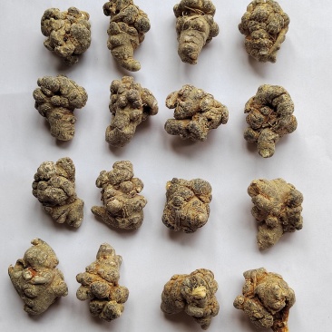 三七免费打粉文山三七产地直销批发零售全国发货
