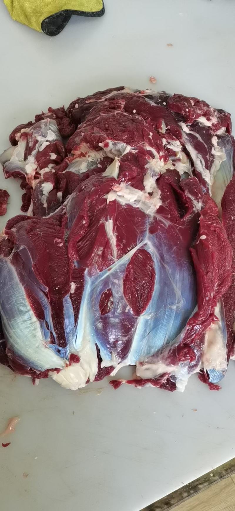吉林双阳鹿白条新鲜鹿肉量大优惠检疫证明现杀现卖