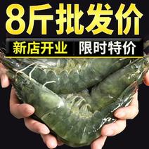 【包邮-8斤青岛大虾】批发8斤海捕超大虾非基围虾青岛大虾