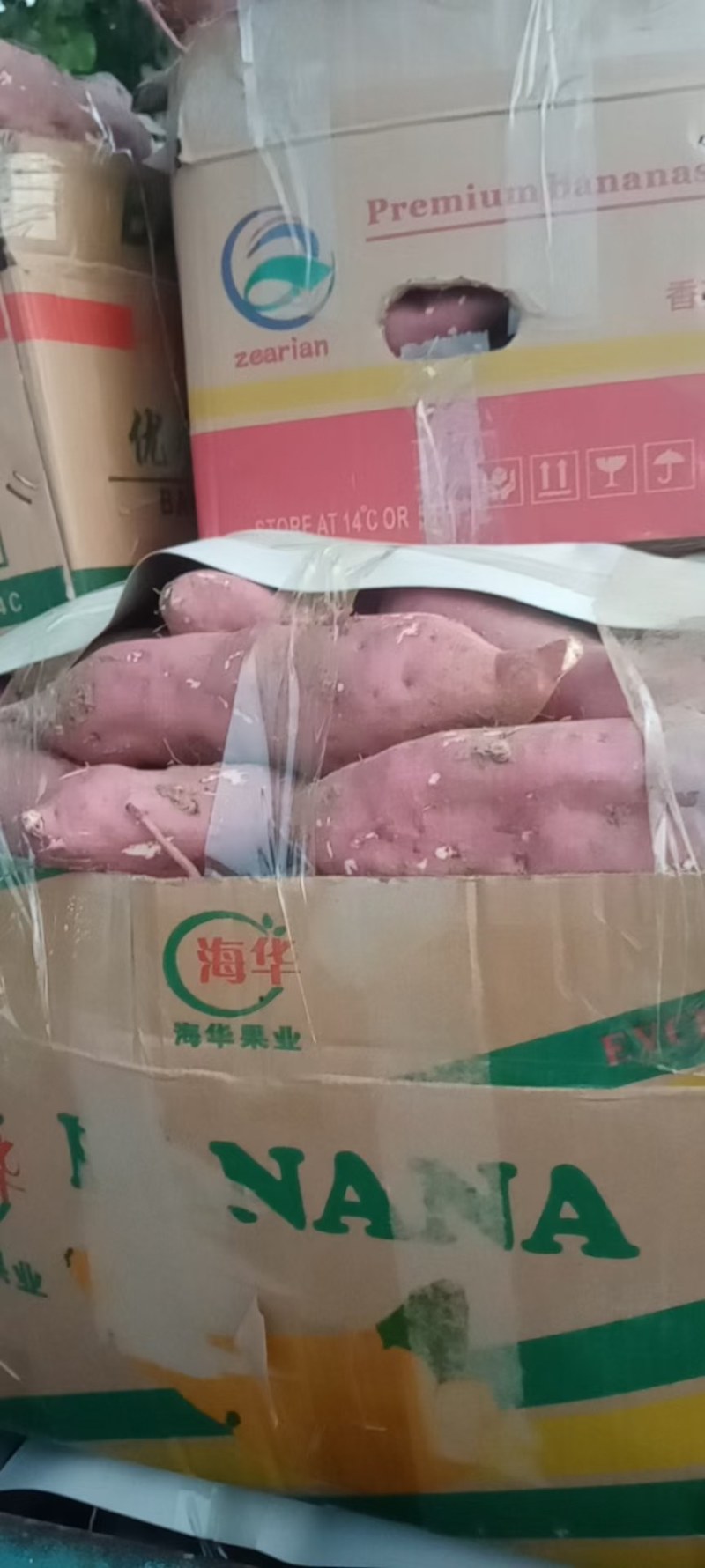 精品商薯19，质量保证软糯香甜！工厂货大量有货