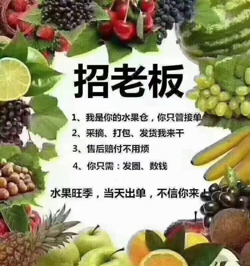 自己家里种植的子弹头，冬枣一代，二代，马上采摘开园，诚招