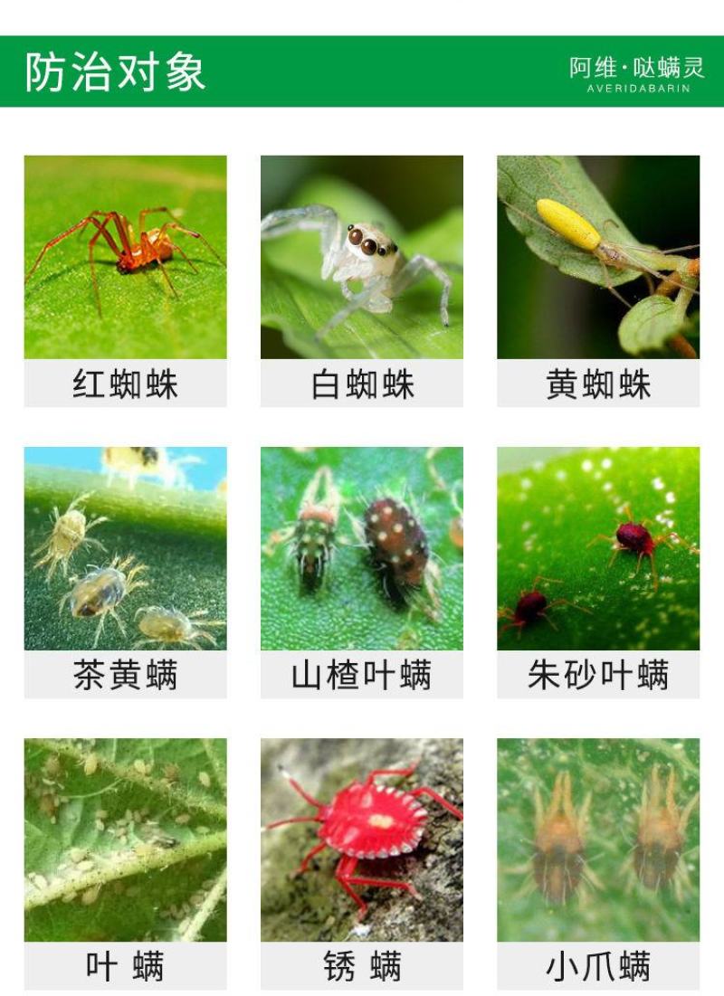 40%联苯肼酯乙螨唑杀螨剂柑桔树红蜘蛛喷雾悬浮剂农药