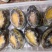 鲍鱼新鲜冷冻个大鲜活海捕超大鲍鱼【顺丰包邮】