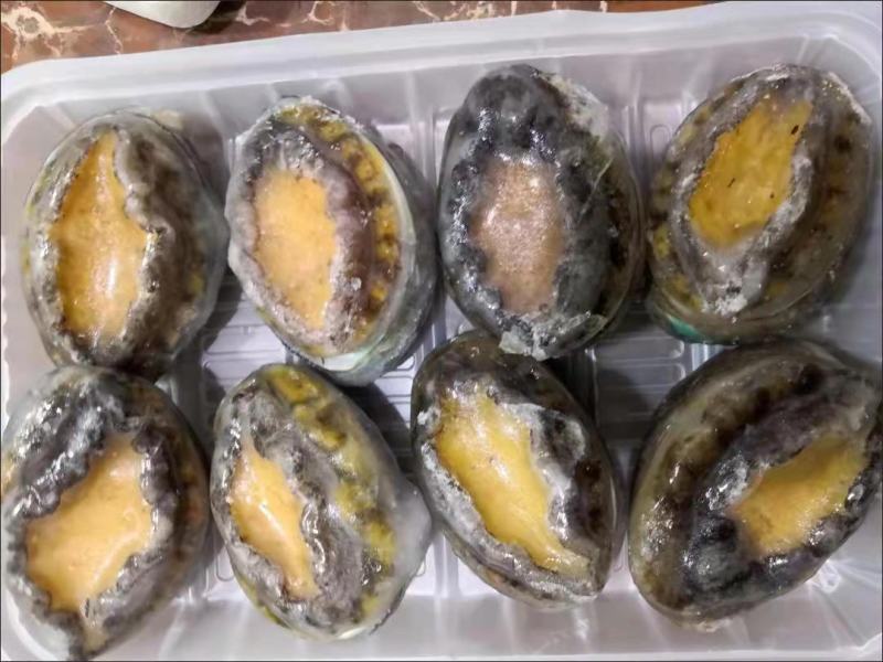 鲍鱼新鲜冷冻个大鲜活海捕超大鲍鱼【顺丰包邮】